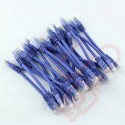 24 Pack of 20cm (8-inch) in Blue - Cat5e High Grade 125MHz 24AWG LSZH Patch Cables for 2U Patching