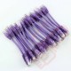 24 Pack of 20cm (8-inch) in Purple - Cat6 High Grade 250MHz 24AWG LSZH Patch Cables for 2U Patching