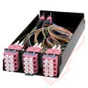 Zettonics MTP/MPO LC OM4 Multimode 12 Duplex Fibre 2x MTP Cassette Violet